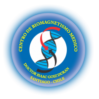 Logo Biomagnetismo